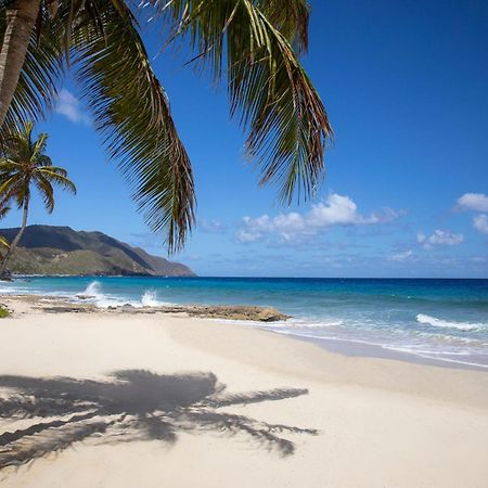 Carambola Beach Resort St. Croix, Us Virgin Islands Fountain Exterior foto